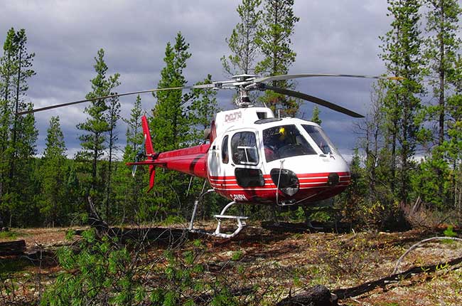 Delta Helicopters Ltd helicopter charter in Sturgeon County Alberta
