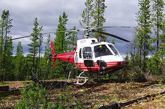 Delta Helicopters aircraft